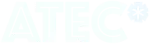 stec-1